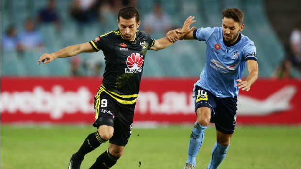 Kosta Barbarouses and Milos Ninkovic - two key players for this weekend's match.
