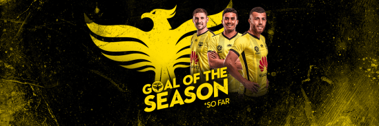 Vote For Your Goal Of The Season So Far!